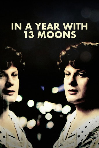 Poster de Num Ano de 13 Luas