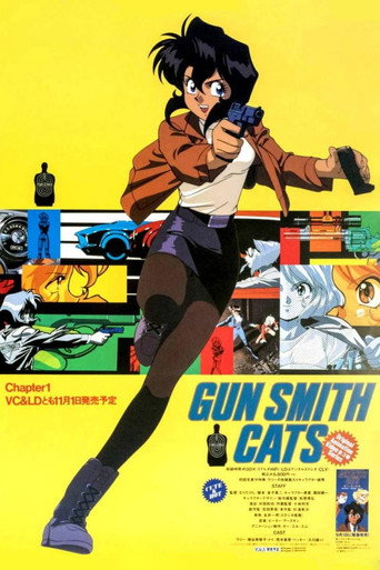 Poster de As Gatas Atiradoras