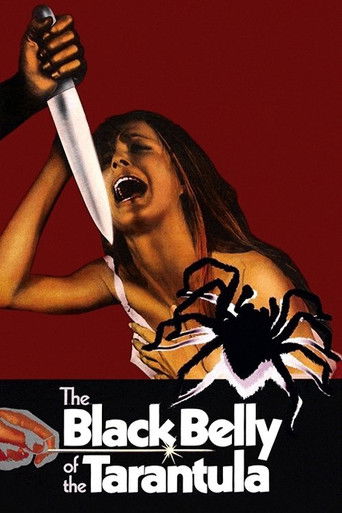 Poster de O Ventre Negro da Tarântula