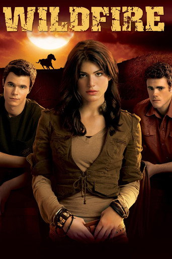Poster de Wildfire