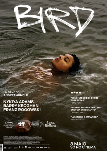 Poster de Bird