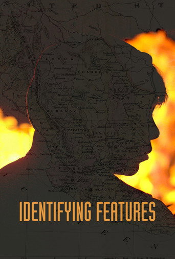 Poster de Identifying Features