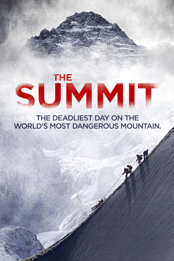 Poster de The Summit