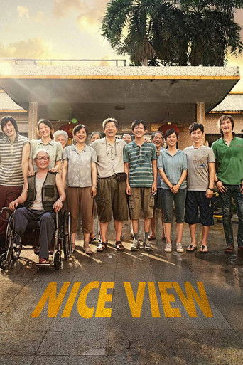 Poster de Nice View