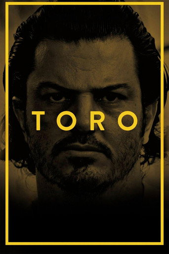 Poster de Toro