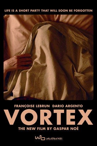 Poster de Vórtex