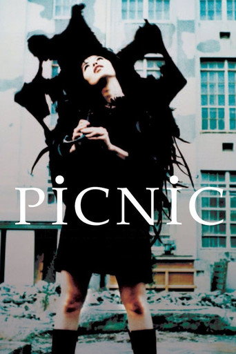 Poster de Picnic