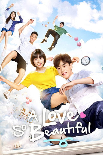 Poster de Um Amor Tão Lindo