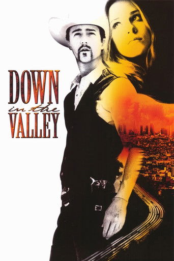Poster de Vale proibido