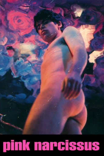Poster de Pink Narcissus