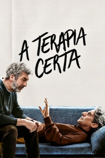 Poster de A Terapia Certa