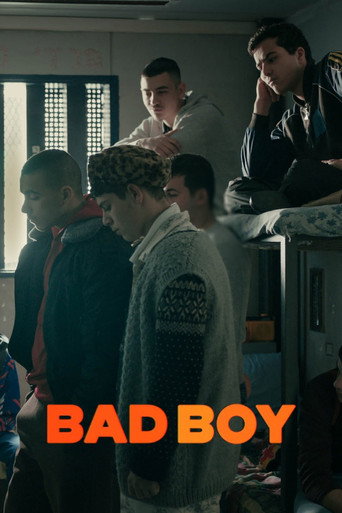 Poster de Bad Boy