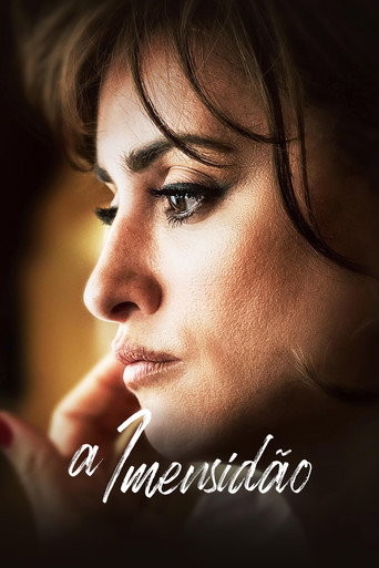 Poster de A Imensidão