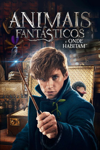 Poster de Animais Fantásticos e Onde Habitam