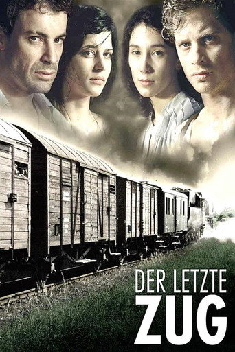 Poster de The Last Train