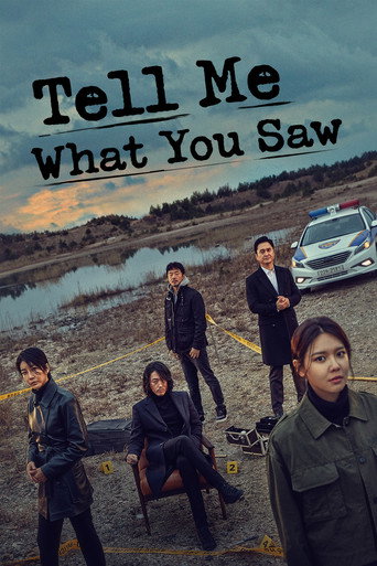 Poster de Tell Me What You Saw