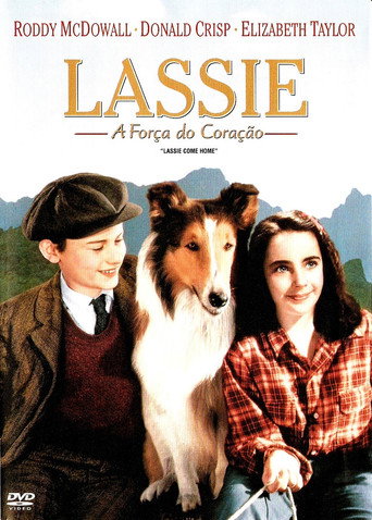 Poster de Lassie: A Força do Coração