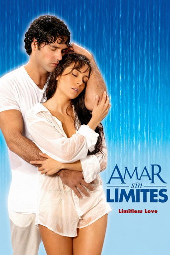 Poster de Amar sin límites