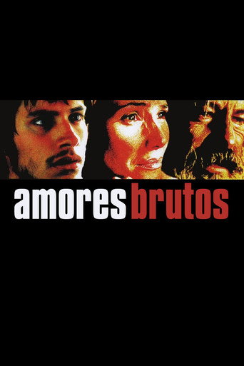 Poster de Amores Brutos