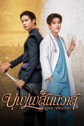 Poster de O Destino do Amor