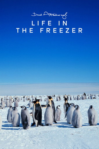 Poster de Life in the Freezer