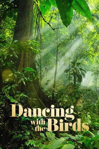 Poster de Dança dos Pássaros
