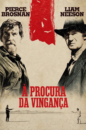 Poster de À Procura da Vingança