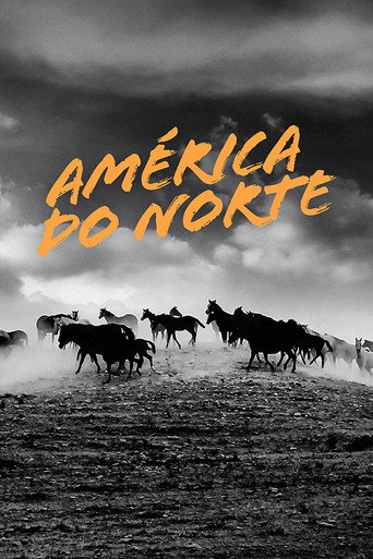 Poster de América do Norte