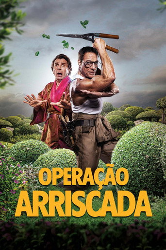 Poster de Operação Arriscada