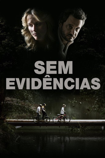 Poster de Sem Evidências