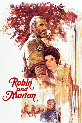 Poster de Robin e Marian