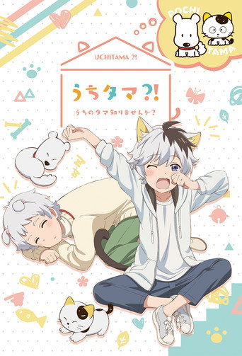 Poster de Uchitama! Have you seen my Tama?