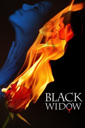 Poster de A Viúva Negra