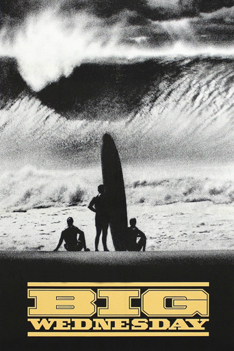 Poster de Amargo Reencontro